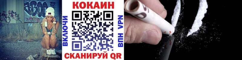 гидра ТОР  купить наркотики цена  Купино  COCAIN Fish Scale 