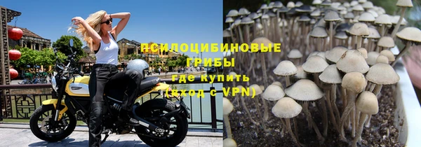 бутират Белокуриха